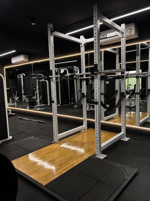 Tomz Fitness Club: white power rack on wooden lifting platform