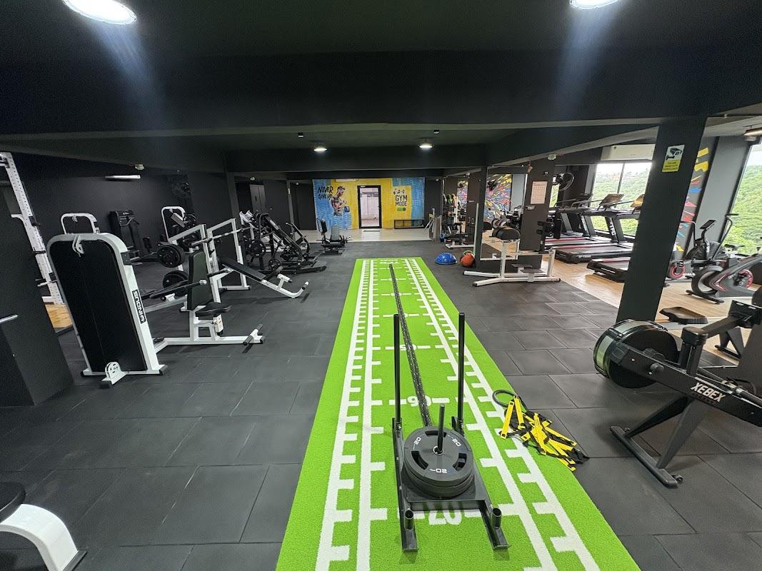 Tomz Fitness Club: green turf track with sled and rower