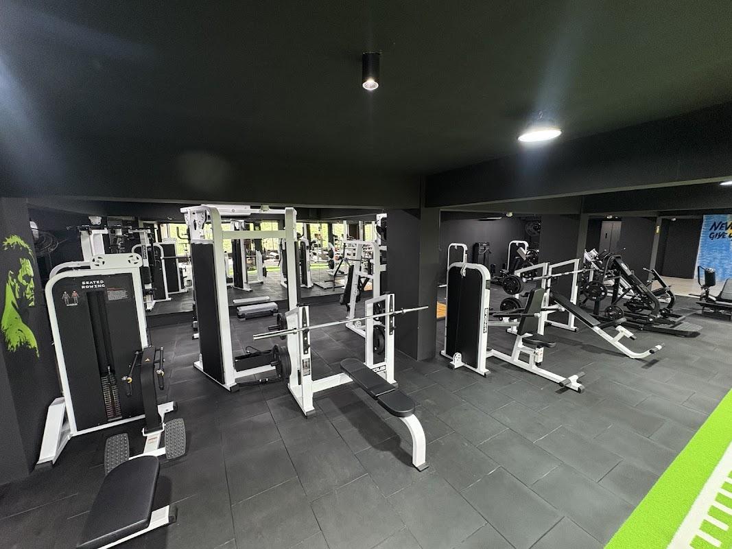 Tomz Fitness Club: strength floor with white machines and green turf